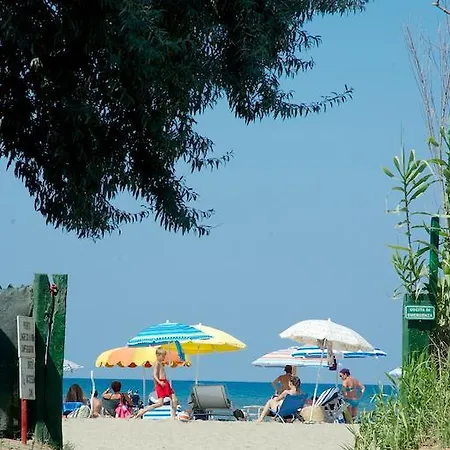 Piper Puntone di Scarlino